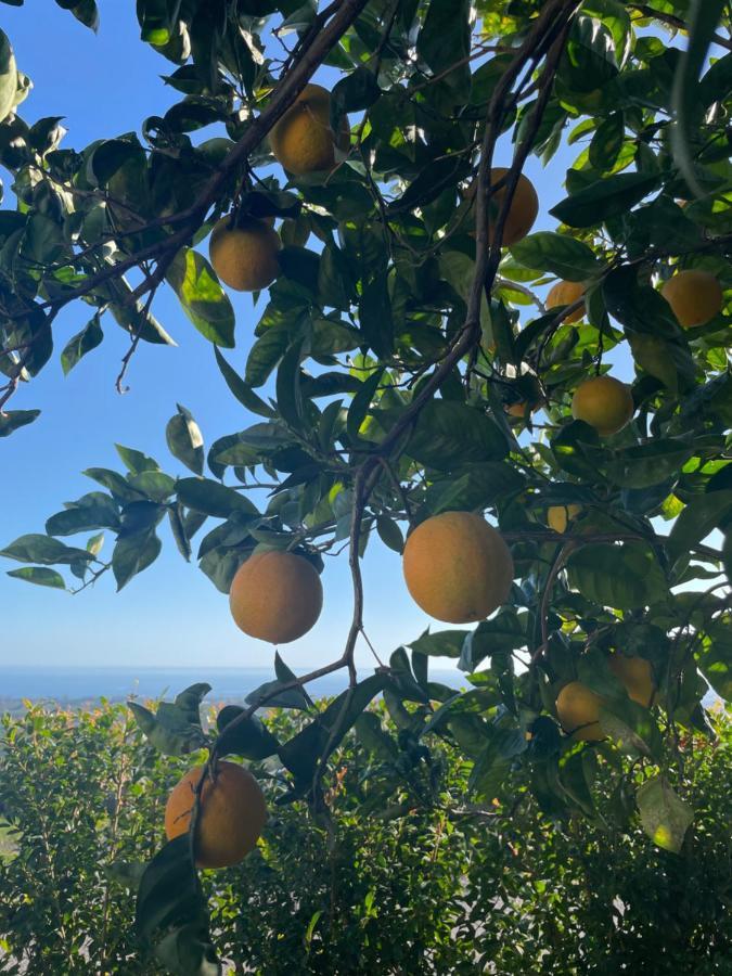 Profumo Di Zagara Villa Fiumefreddo di Sicilia Eksteriør bilde
