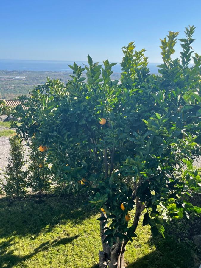 Profumo Di Zagara Villa Fiumefreddo di Sicilia Eksteriør bilde